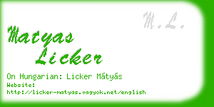matyas licker business card